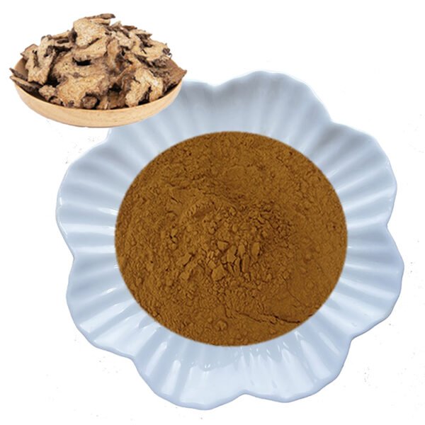 Atractylodes Extract – Digestive & Immune Support Herb for Functional Foods and Nutraceutical Supplements | cGMP & ISO Certified Bulk