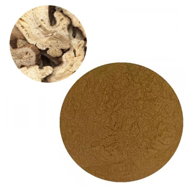 Atractylodes Extract Powder – Traditional Spleen Tonic & Digestive Herb for Functional Foods and TCM Formulas | cGMP Certified Bulk Supply