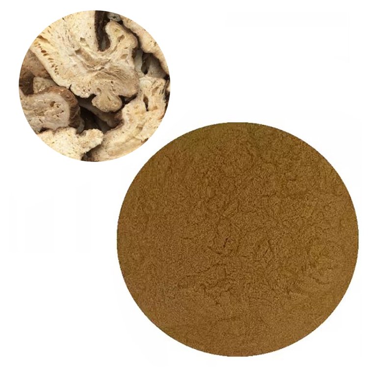 Atractylodes Extract Powder – Traditional Spleen Tonic & Digestive Herb for Functional Foods and TCM Formulas | cGMP Certified Bulk Supply
