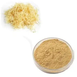 Bamboo Shavings Extract for Detox Tea & Functional Snacks – Rich in Antioxidants and Dietary Fiber