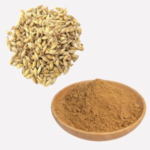 Certified Organic Barley Malt Extract Kosher Halal Enzymatic Digestive Aid for Brewing and Infant Nutrition