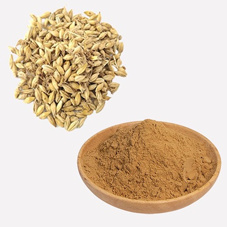 Certified Organic Barley Malt Extract Kosher Halal Enzymatic Digestive Aid for Brewing and Infant Nutrition