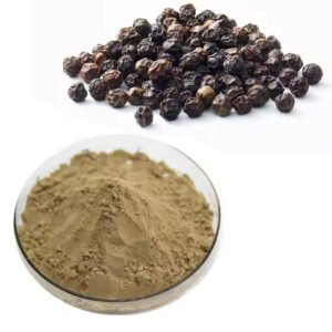 Black Pepper Extract (Piperine 95%) – GRAS-Certified Bioenhancer for Nutrient Absorption, Bulk Supply