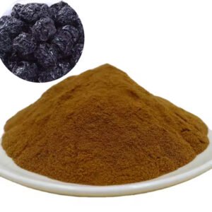 Black Plum Extract – Natural Digestive and Antioxidant Ingredient for Supplements