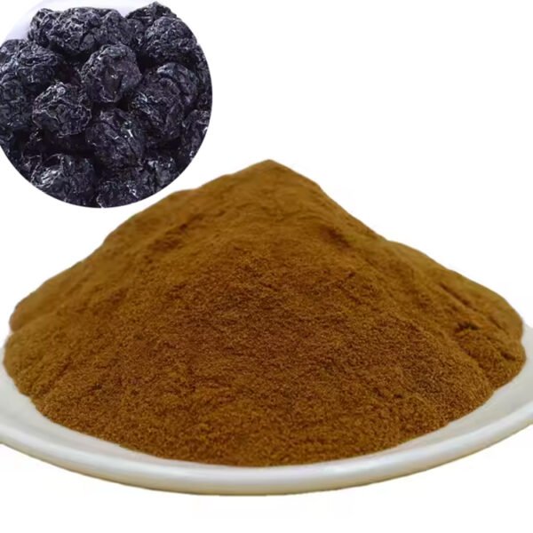 Black Plum Extract – Natural Digestive and Antioxidant Ingredient for Supplements