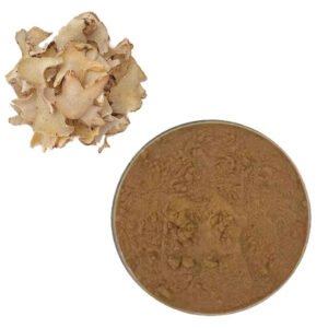Bletilla Extract – Herbal Wound Healer for Trauma Care, Surgical Recovery & Topical Gel Formulas | cGMP Bulk Supply