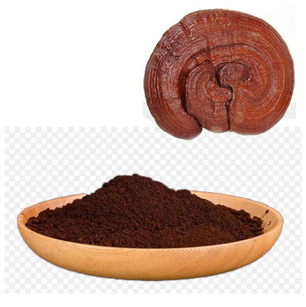 Broken-wall Reishi Spore Powder 98% Bioavailability – Herbal Extract for Oncology Support