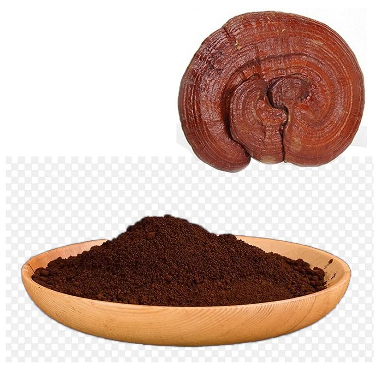 Broken-wall Reishi Spore Powder 98% Bioavailability – Herbal Extract for Oncology Support