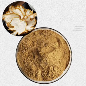 Buddha’s Hand Extract Powder – Natural Citrus Herbal Supplement Rich in Antioxidants & Mood-Enhancing Compounds, cGMP Certified Bulk Supply