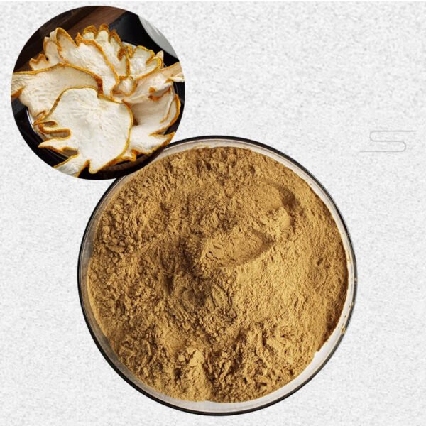 Buddha’s Hand Extract Powder – Natural Citrus Herbal Supplement Rich in Antioxidants & Mood-Enhancing Compounds, cGMP Certified Bulk Supply