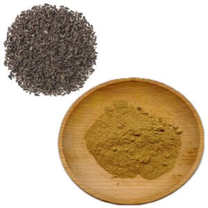 Burdock Seed Extract – Halal-Certified Blood Cleanser & Detox Ingredient for Skin Serums & Functional Teas (Bulk Supply)