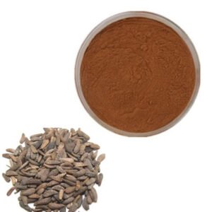 Burdock Seed Extract – Natural Blood Cleanser & Skin Detox Ingredient for Serums and Herbal Teas | Halal-Certified Bulk Supply