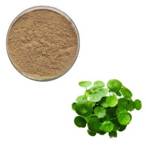 Centella Asiatica Extract – 40% Asiaticoside Skin Regeneration & Scar Repair Ingredient for Anti-Aging Serums, cGMP Bulk Supply