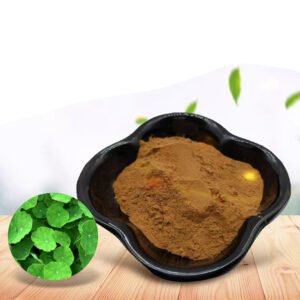 Centella Asiatica Extract with 40% Asiaticoside – Skin Regeneration & Scar Repair Ingredient for Anti-Aging Serums & Creams, cGMP Certified Bulk Supply