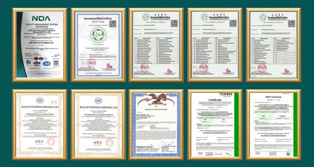 Certified Herbal Extract Manufacturer - GMP, ISO, Organic Certificates