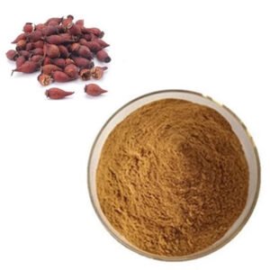 Cherokee Rose Fruit Extract – Natural Antioxidant & Skin Rejuvenating Herbal Ingredient for Wellness Supplements | Bulk B2B Supply