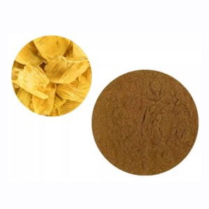 Chicken Gizzard Extract – cGMP Certified Digestive and Gut Health Ingredient for Nutritional Supplements Wholesale