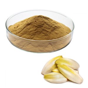 Chicory Extract – Prebiotic Inulin & FOS-Rich Digestive Fiber – Organic, Halal, Kosher Certified Bulk for Sugar-Free Baking & Dairy Alternatives