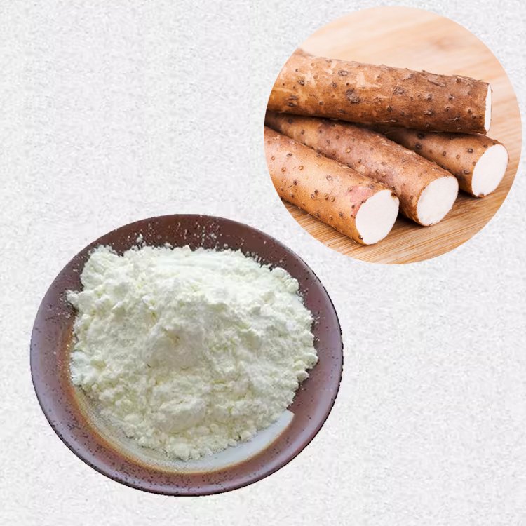 High-Quality Chinese Yam Extract – GMP Grade Botanical for Nutraceuticals & Pharmaceuticals, OEM Supplier from China