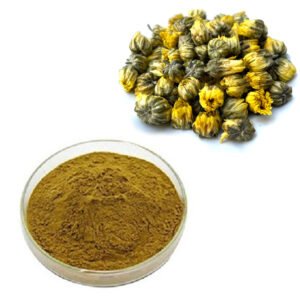Organic Chrysanthemum Extract Herbal Infusion for Eye Health and Summer Beverages USDA HACCP Certified Bulk Wholesale