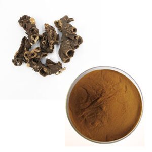 Cimicifuga Extract – Pharma-Grade Botanical for Menopausal Relief & Hormone Balance in Herbal Capsules & Tinctures