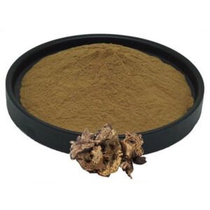 Cimicifuga Extract – Pharma-Grade Botanical for Hormonal Balance & Menopausal Relief Capsules and Tinctures
