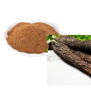 Cistanche Extract – Natural Energy and Immune Support Ingredient, cGMP Certified Bulk Supply for Dietary Supplements