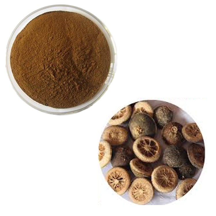 Citrus Aurantium (Bitter Orange) Extract – Metabolic Support & Weight Management | cGMP Certified Bulk Ingredient