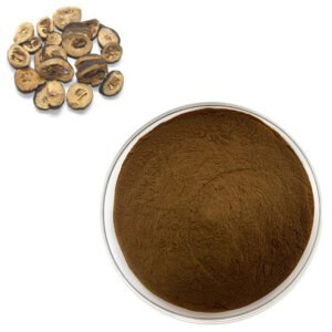 Citrus Aurantium Extract – Bitter Orange Botanical for Metabolic Boost & Weight Management | cGMP Bulk Supply