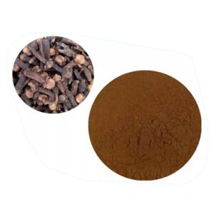 Clove Extract – Potent Antioxidant and Anti-inflammatory Ingredient for Functional Foods & Health Supplements Wholesale