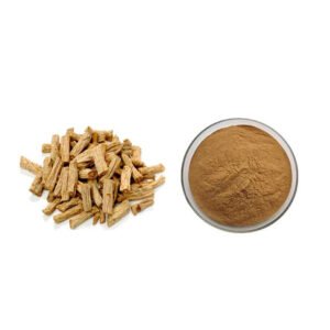 Codonopsis Extract Powder – Qi Boosting Herbal Tonic for Energy & Immunity, Certified Bulk Supply for B2B Buyers
