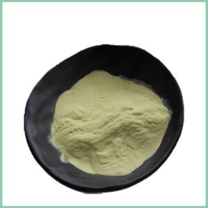 Coriander Extract – Natural Antioxidant & Digestive Health Botanical – cGMP & ISO Certified Bulk Ingredient for Nutraceuticals