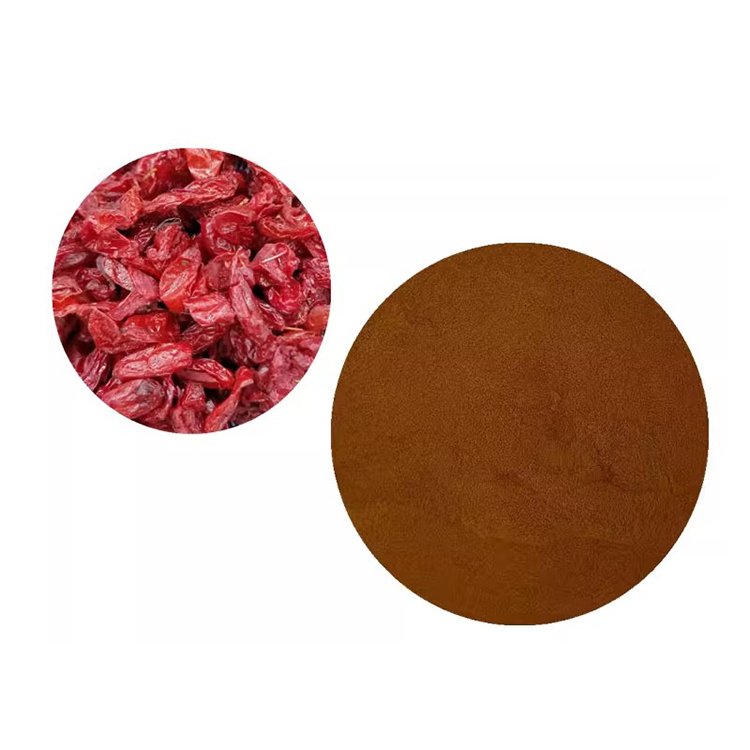 Cornus Extract for Kidney Support – Diuretic Herbal Ingredient for Urinary Health, cGMP-Certified Capsules & Bulk Supply
