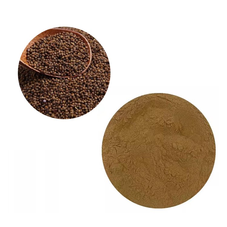 Cuscuta Extract Powder – Traditional Kidney & Fertility Tonic for Herbal Capsules and Granules | cGMP-Compliant Bulk Supply