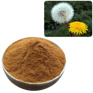 Dandelion Extract powder – Organic, Halal & Kosher certified liver detox and cleanse ingredient for teas and juice concentrates, bulk wholesale supply