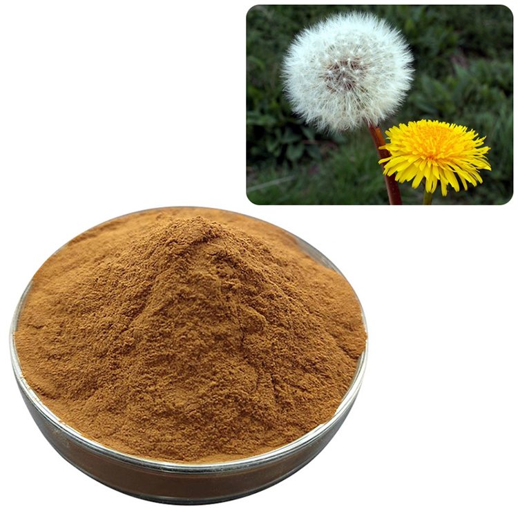 Dandelion Extract powder – Organic, Halal & Kosher certified liver detox and cleanse ingredient for teas and juice concentrates, bulk wholesale supply