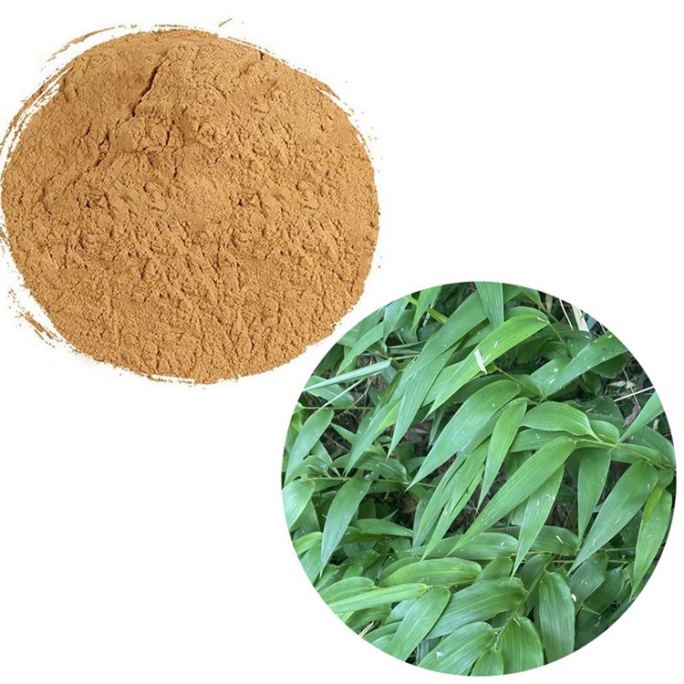 Dendrocalamus Detox Herb for Herbal Tea & Summer Beverage, Traditional Coolant, HACCP Certified Bulk Supply