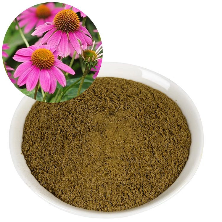 Echinacea Extract – Alkamide-Rich Immune Support Ingredient Approved as EFSA Novel Food