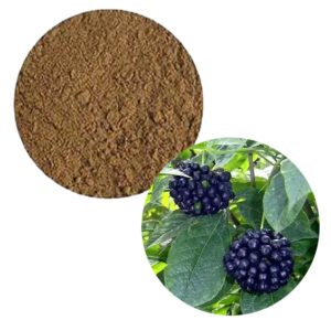 Eleutherococcus Extract – Siberian Ginseng for Stress Relief, Energy Bars & Altitude Sickness Pills | Bulk Export