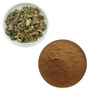 Eupatorium Fortunei Extract – Natural Anti-inflammatory & Immune Support, cGMP & ISO Certified Bulk Supplement Ingredient