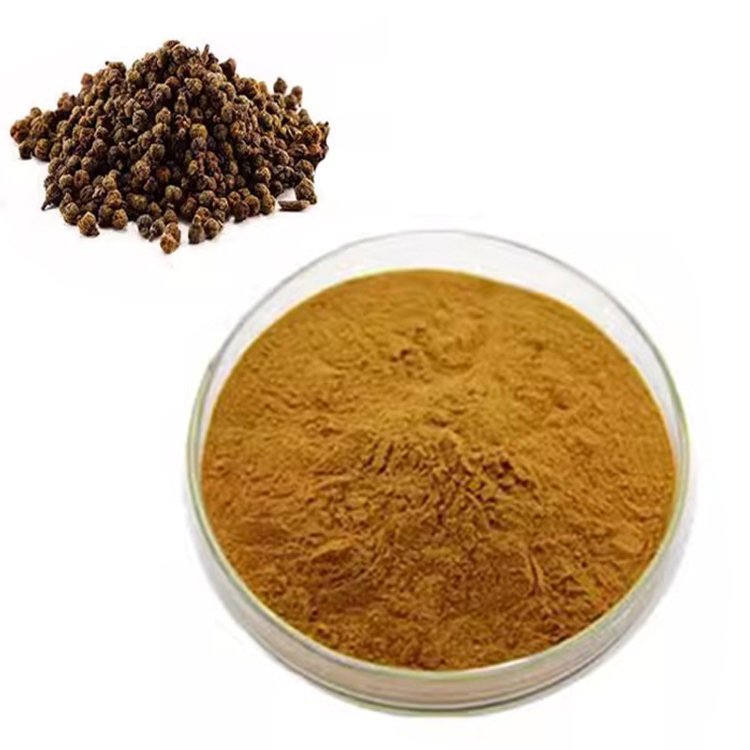 Evodia Fruit Extract – Natural Pain Relief & Digestive Health Ingredient, cGMP & ISO Certified, Bulk for Supplements & Functional Foods
