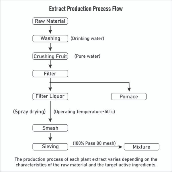 Silymarin 80% Milk Thistle Extract Production Flow – Herbal Extraction Process for Liver Support Ingredient