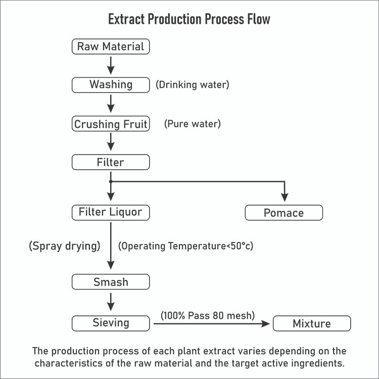 Silymarin 80% Milk Thistle Extract Production Flow – Herbal Extraction Process for Liver Support Ingredient