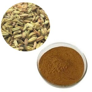 Fennel Extract – Estragole-Free Digestive Support & Infant Colic Relief, EFSA-Reviewed & Kosher Certified Bulk Supply