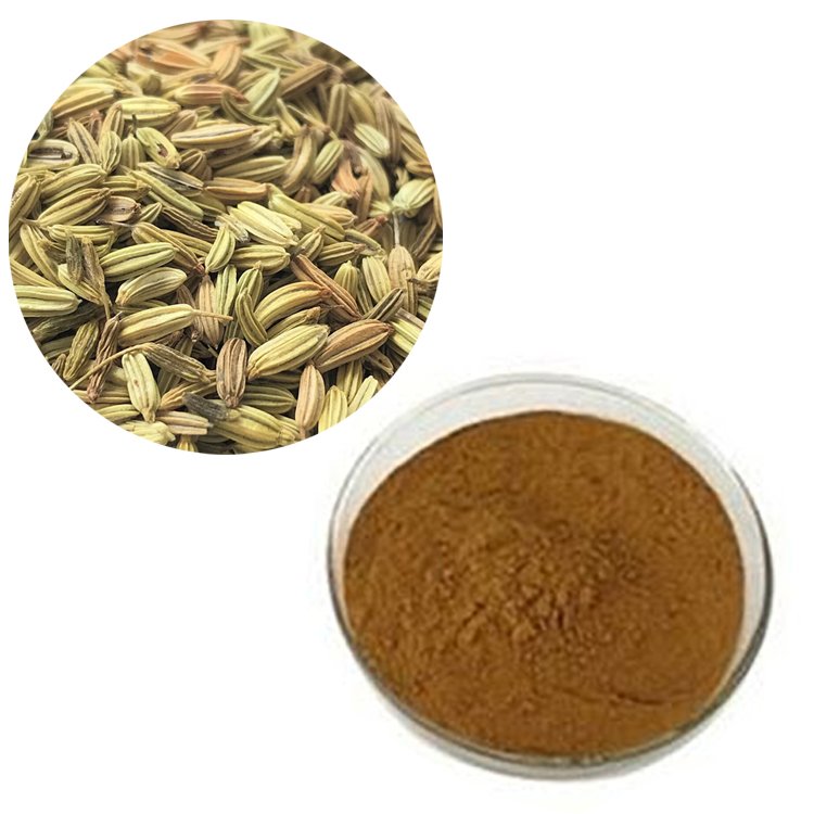 Fennel Extract – Estragole-Free Digestive Support & Infant Colic Relief, EFSA-Reviewed & Kosher Certified Bulk Supply