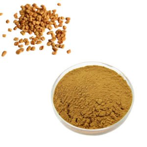 Fenugreek Extract – EFSA Novel Food Approved Lactation Support for Nursing Teas & Blood Sugar Formulas