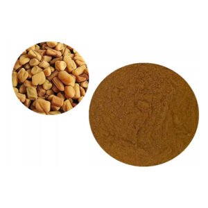Fenugreek Extract – EFSA Novel Food Approved Herbal Support for Lactation & Blood Sugar Balance | cGMP Bulk Supply