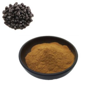 Fermented Soybean Extract – Natural Probiotic & Gut Health Ingredient – cGMP & FAMI-QS Certified Bulk Supply