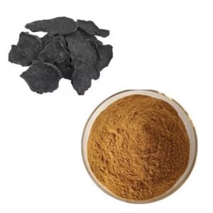 Fo-ti Extract Powder (Polygonum multiflorum) – Natural Hair Revitalizer & Anti-Aging Herbal Supplement | Multi-Certified | Bulk Supply