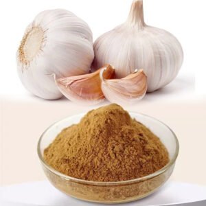 Allicin Garlic Extract – Stabilized Cardiovascular Support Ingredient in Light-Proof Drums for Supplement Manufacturing